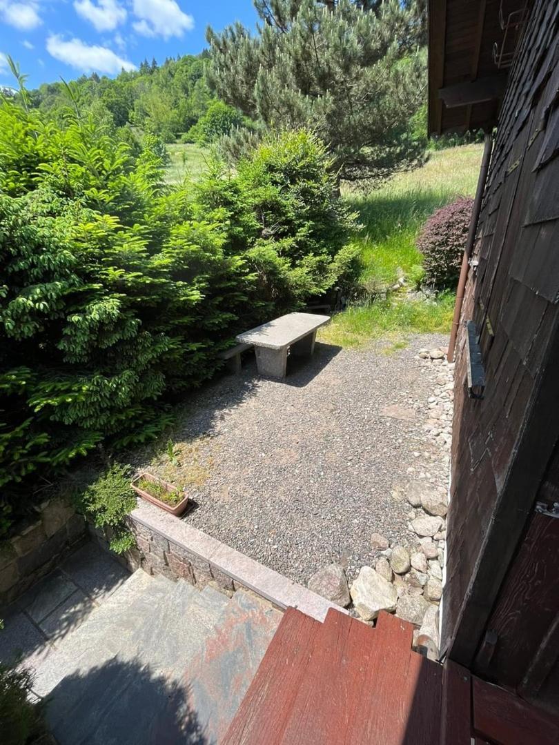 Chalet Bois Vue Panoramique : 2 Logements Et Sauna Bussang Εξωτερικό φωτογραφία