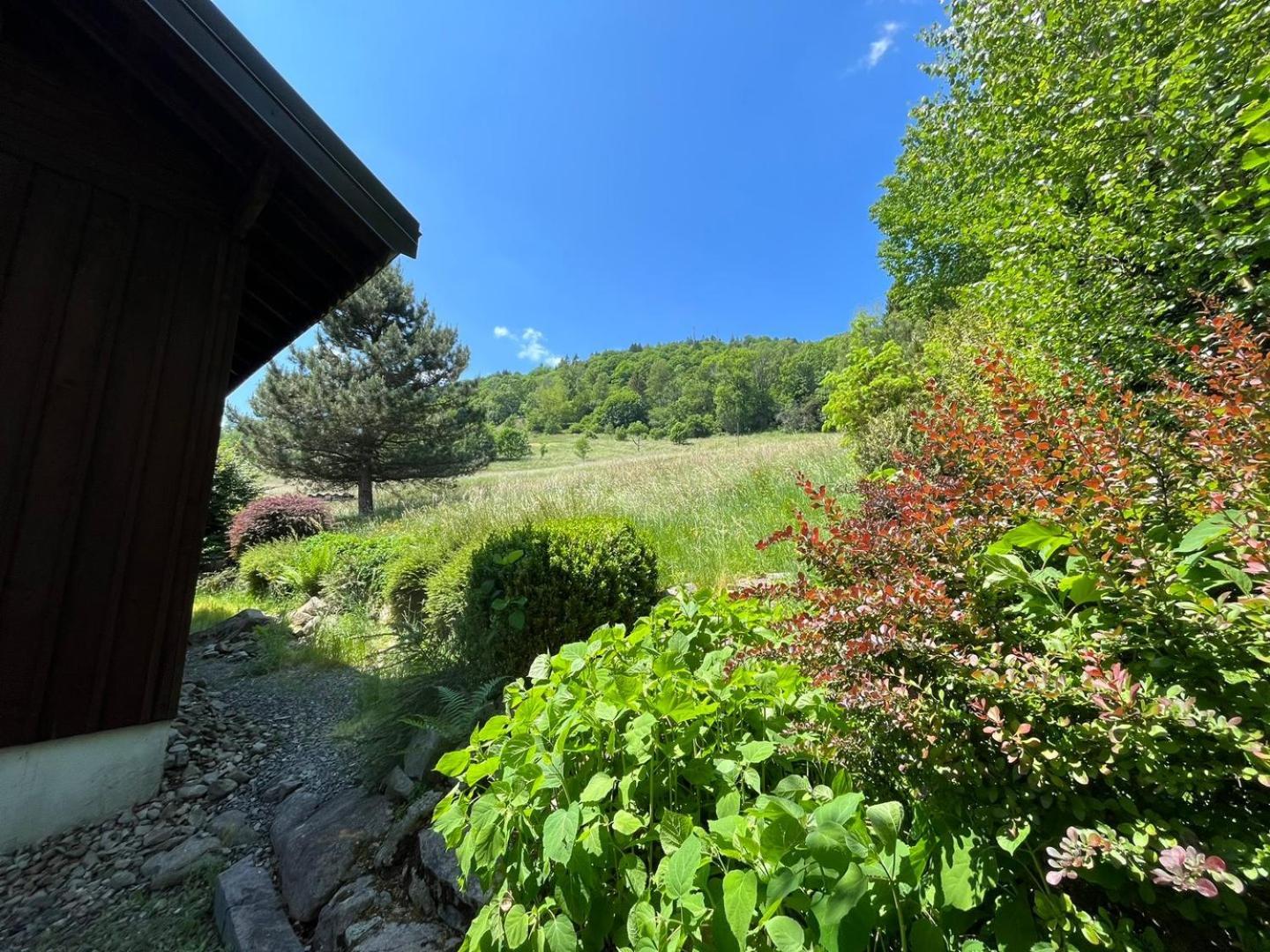 Chalet Bois Vue Panoramique : 2 Logements Et Sauna Bussang Εξωτερικό φωτογραφία