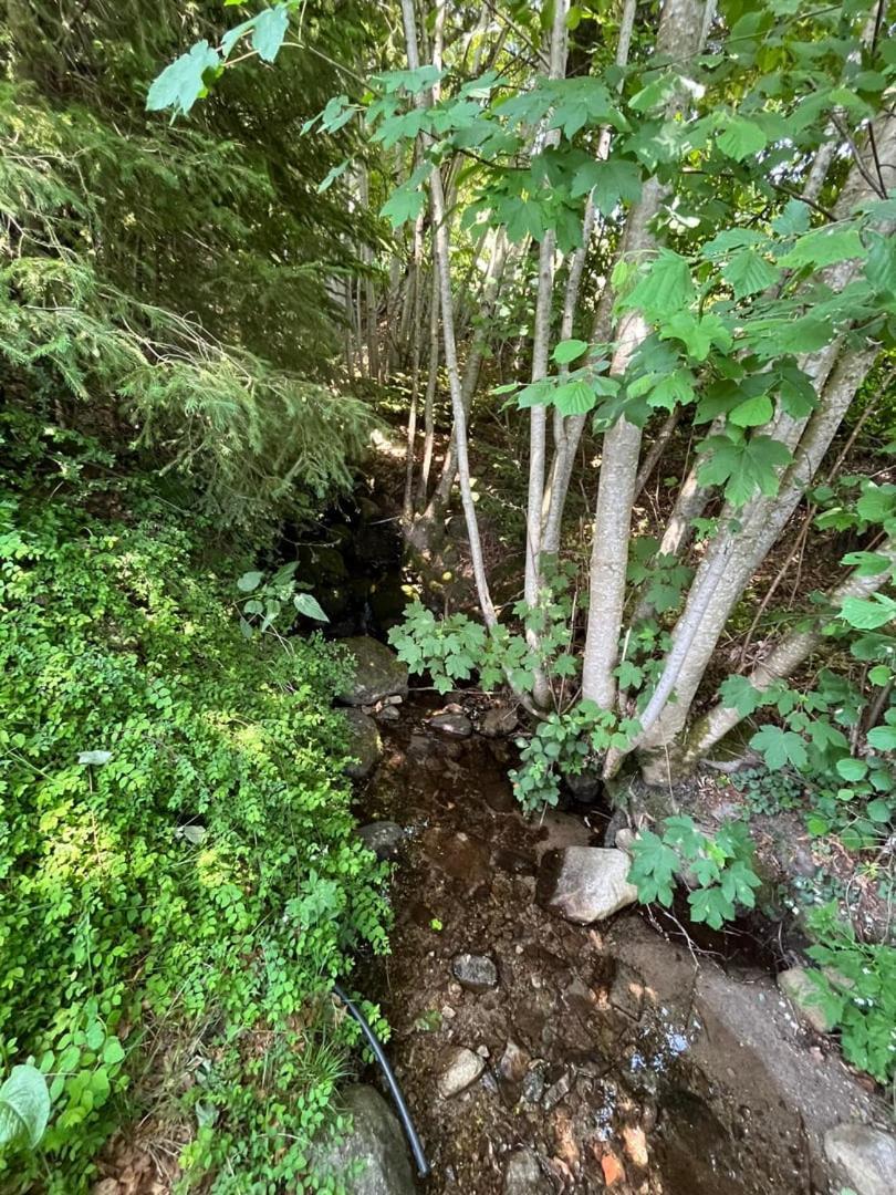 Chalet Bois Vue Panoramique : 2 Logements Et Sauna Bussang Εξωτερικό φωτογραφία