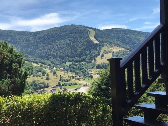Chalet Bois Vue Panoramique : 2 Logements Et Sauna Bussang Εξωτερικό φωτογραφία