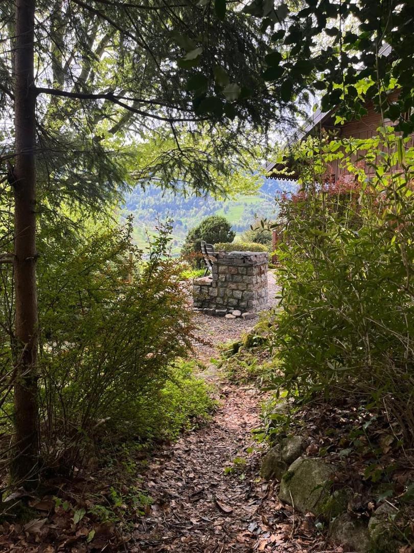 Chalet Bois Vue Panoramique : 2 Logements Et Sauna Bussang Εξωτερικό φωτογραφία