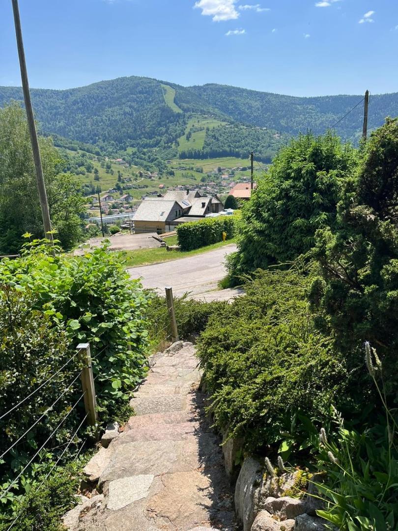 Chalet Bois Vue Panoramique : 2 Logements Et Sauna Bussang Εξωτερικό φωτογραφία