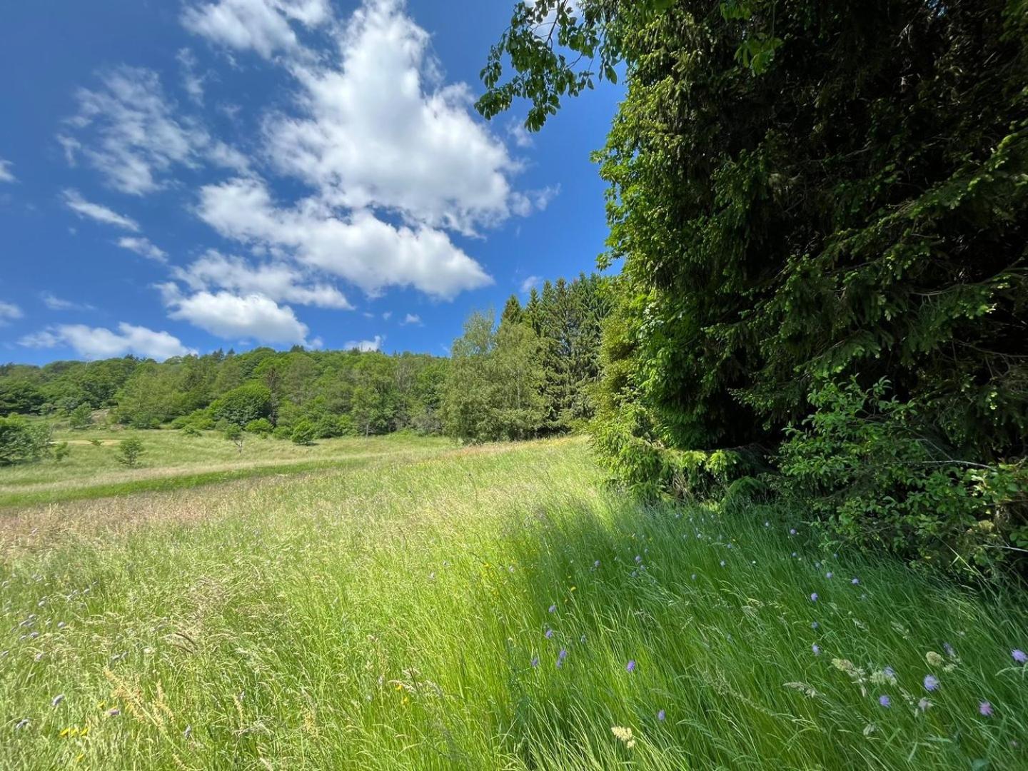 Chalet Bois Vue Panoramique : 2 Logements Et Sauna Bussang Εξωτερικό φωτογραφία