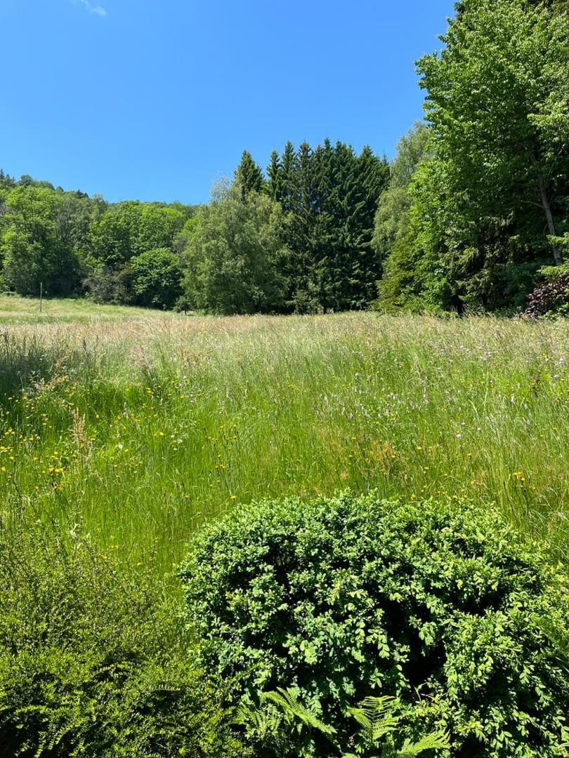 Chalet Bois Vue Panoramique : 2 Logements Et Sauna Bussang Εξωτερικό φωτογραφία