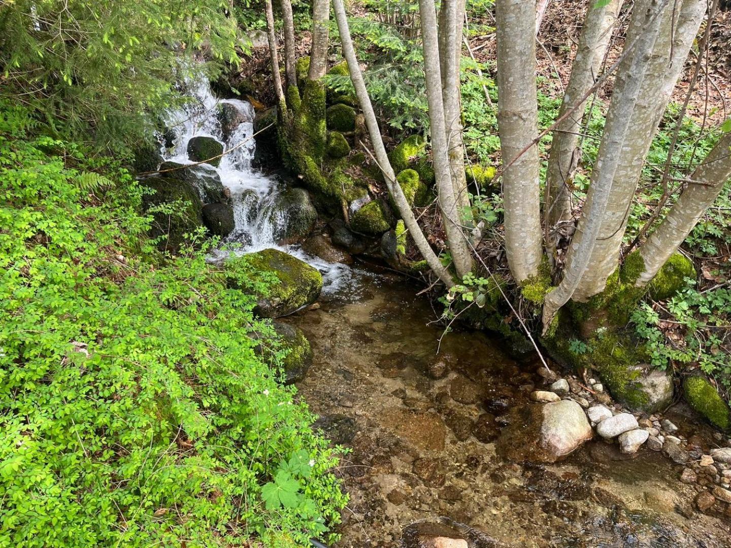Chalet Bois Vue Panoramique : 2 Logements Et Sauna Bussang Εξωτερικό φωτογραφία
